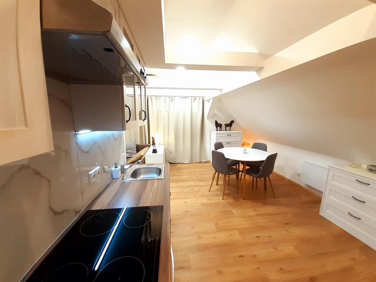 Apartmany V Centru - Lazne Kynzvart Eksteriør bilde